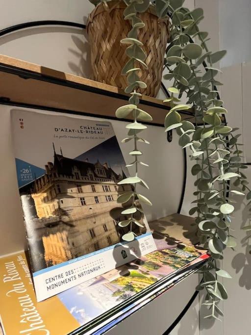 Au Pied Du Chateau Azay-le-Rideau